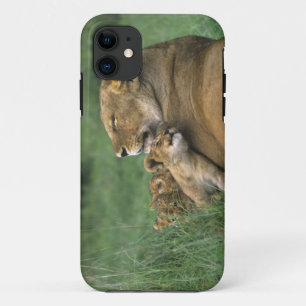 Tansania, Ngorongoro-Krater. Afrikanische Löwenmut Case-Mate iPhone Hülle