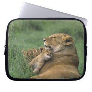 Tansania, Ngorongoro-Krater. Afrikanische Löwenmut Laptopschutzhülle