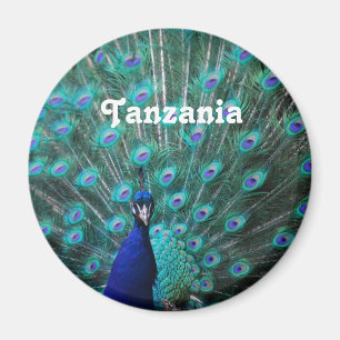 Tansania-Pfau Magnet