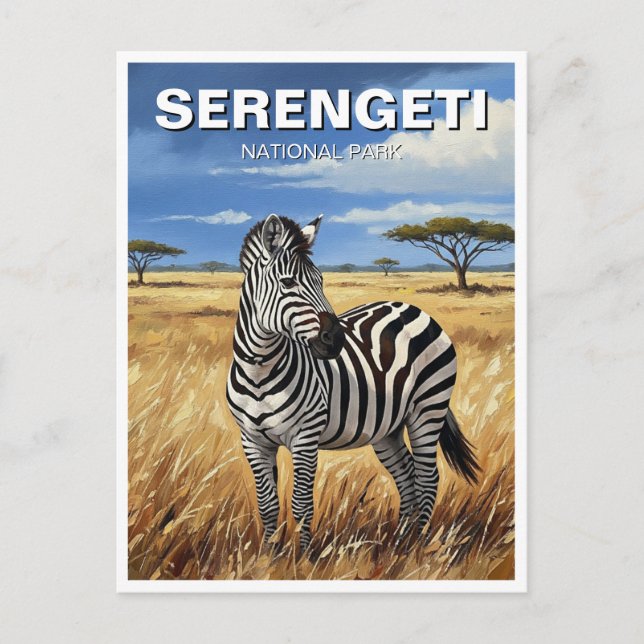 Tansania Serengeti Nationalpark Zebra Postkarte (Vorderseite)
