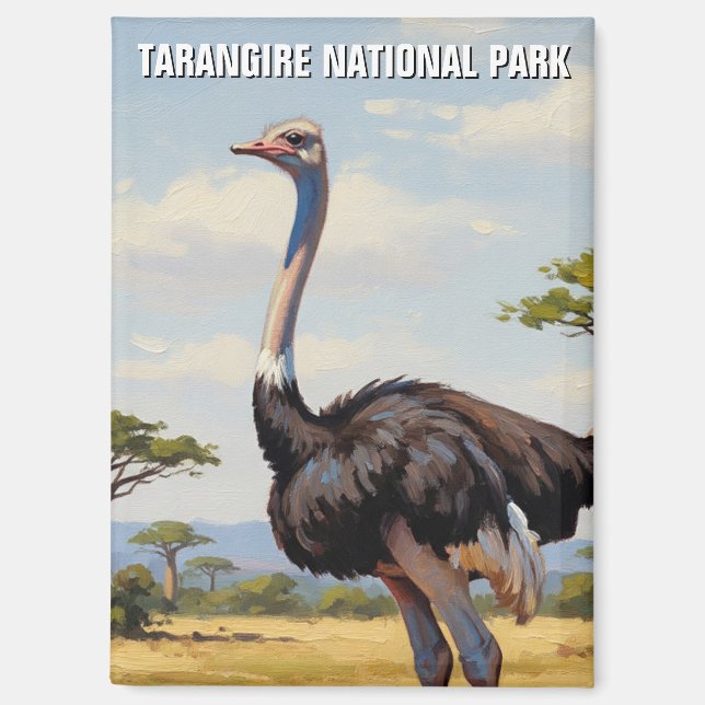 Tansania Tarangire-Nationalpark Zebra Magnet (Vorderseite)