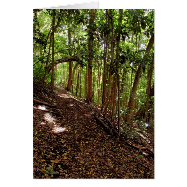 Tantalus Wanderweg (Vorne)