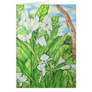 Tantalus Weiß-Ingwer