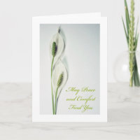 Tante Beileid mit Friedenslehre in Soft Tones Card