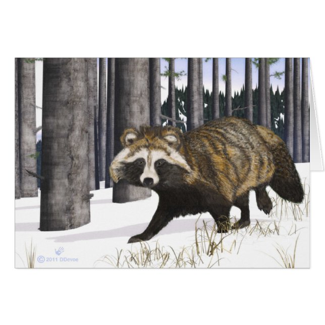 Tanuki - Raccoon Dog (Vorderseite (Horizontal))