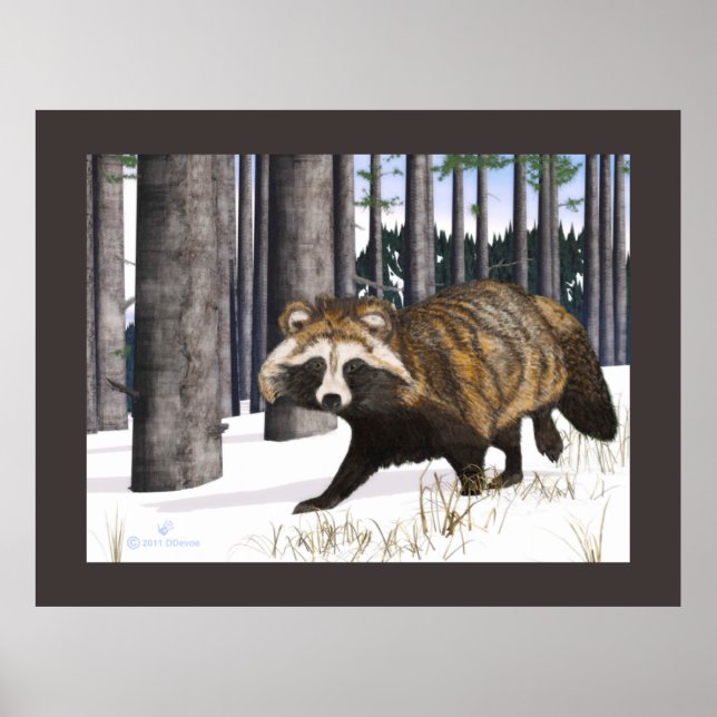 Tanuki - Raccoon Dog Poster (Vorne)
