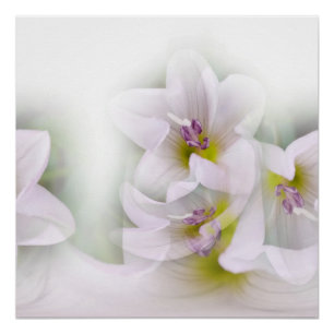 Tanz der Blumen Poster