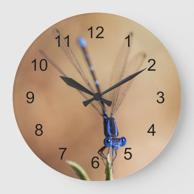 Tanz der Damselfly Große Wanduhr (Vorderseite)