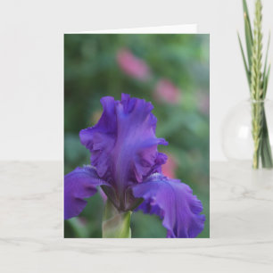 Tanz der Lila Iris-Grußkarte Karte