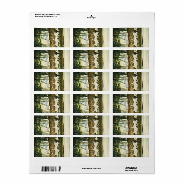 Tanz der Whooping Cranes, 1939 von N. C. Wyeth Adressaufkleber (Vorne)