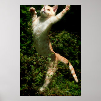Tanz Poster