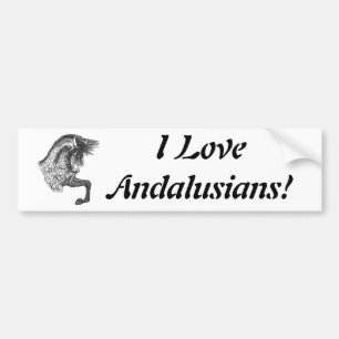 Tänzelnder Andalusian Autoaufkleber