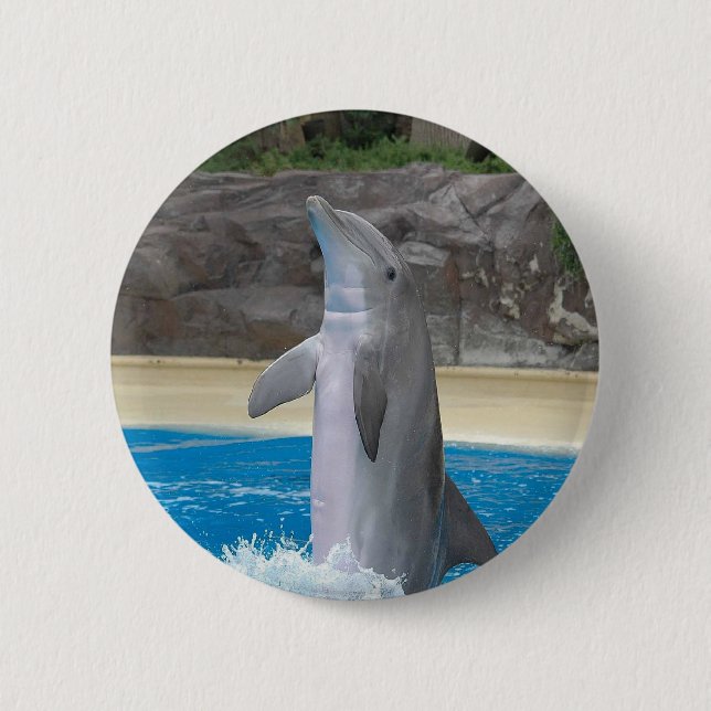 Tanzen-Delphin-Knopf Button (Vorderseite)