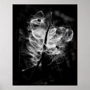 Tanzen Milkweed Poster