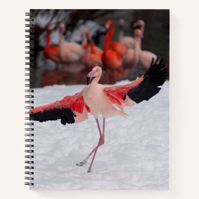 Tanzend rosa Flamingo beim Flamenco-Foto Notizbuch (Vorderseite)