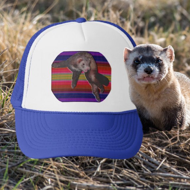 Tanzende Frettchen mit farbenfroher gestreifter Ob Truckerkappe (Dancing Ferret with Colorful Striped Background Trucker Hat)