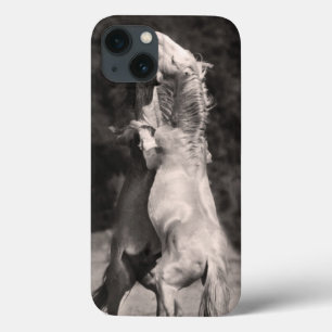 TanzenStallions iPhone 13 Hülle
