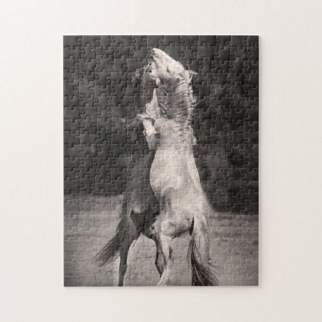 TanzenStallions Puzzle (Vertikal)