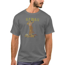 Tänzer Hawaiis Hula