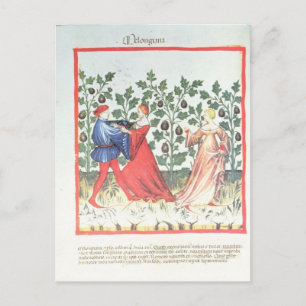 Tänzer vor den Pflanze von Broom aus dem 13. Jahrh Postkarte