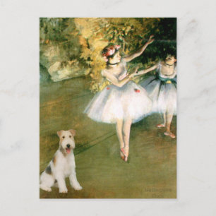 Tänzer - Wire Fox Terrier #1 Postkarte