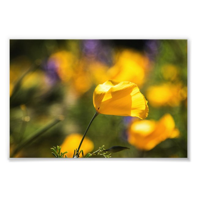 Tanzfläche Fotodruck (Vorne)