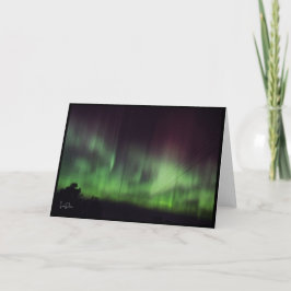 Tanzlichter über ruhige Bäume, leere Karte