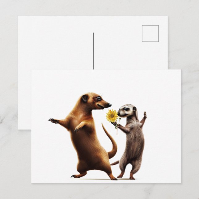 Tanzmeerkats Postkarte (Vorne/Hinten)