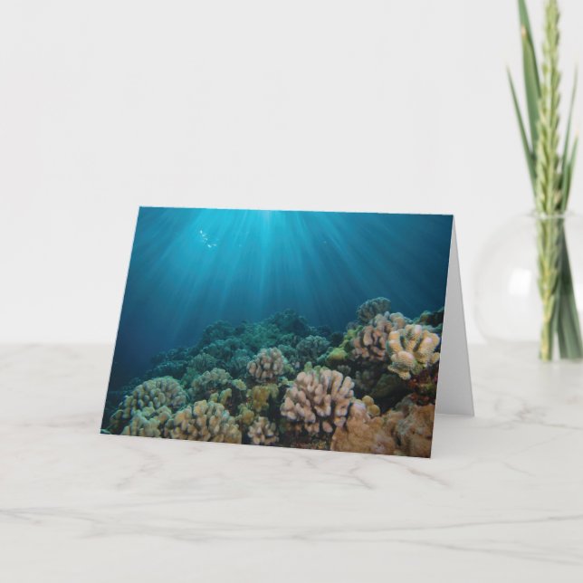 Tanzsonnenlicht Karte (Vorderseite)