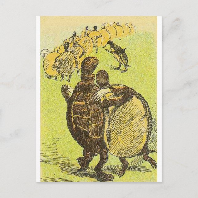 Tanzturtles Postkarte (Vorderseite)