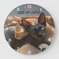 Tao der Liebe - Zwei Sphynxkatzen Personalisiert