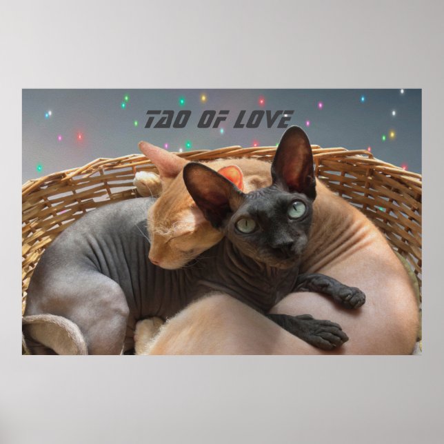 Tao der Liebe - Zwei Sphynxkatzen Personalisiert Poster (Vorne)
