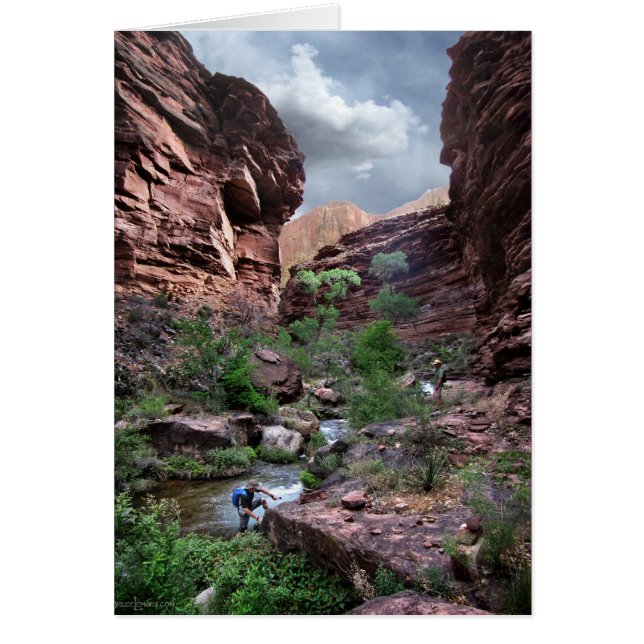 Tapeats Creek - Grand Canyon - Thunder River (Vorne)
