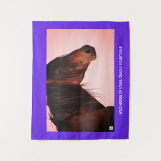 TAPESTRY WILD HORSE VON UTAH, ONAQUI BERGE WANDTEPPICH