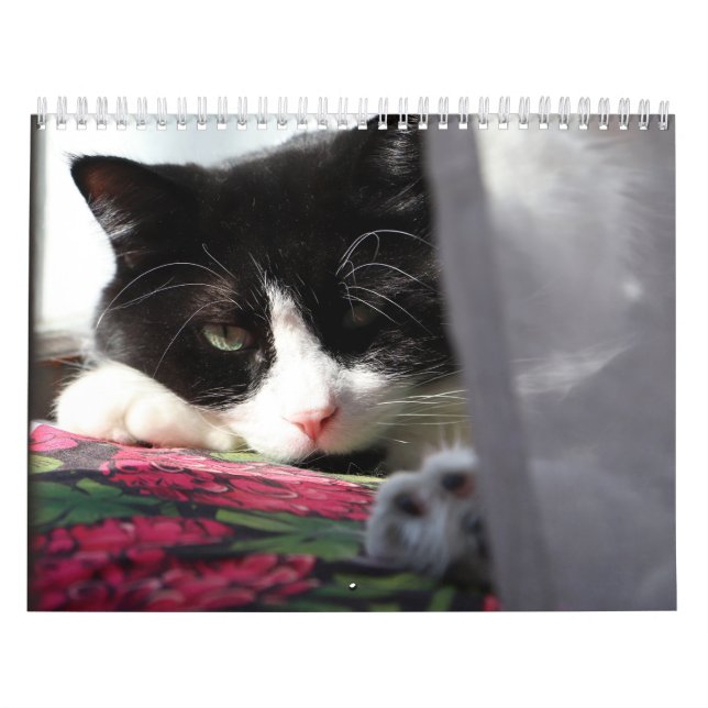 Tapferer Sir Baby Kalender (Titelbild)