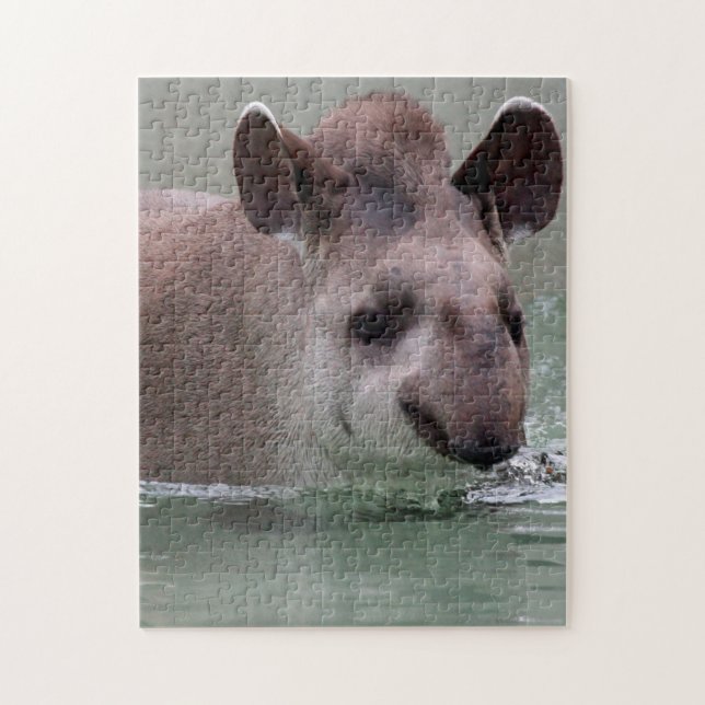 Tapir_2015_0101 Puzzle (Vertikal)
