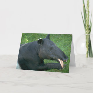 Tapir Karte