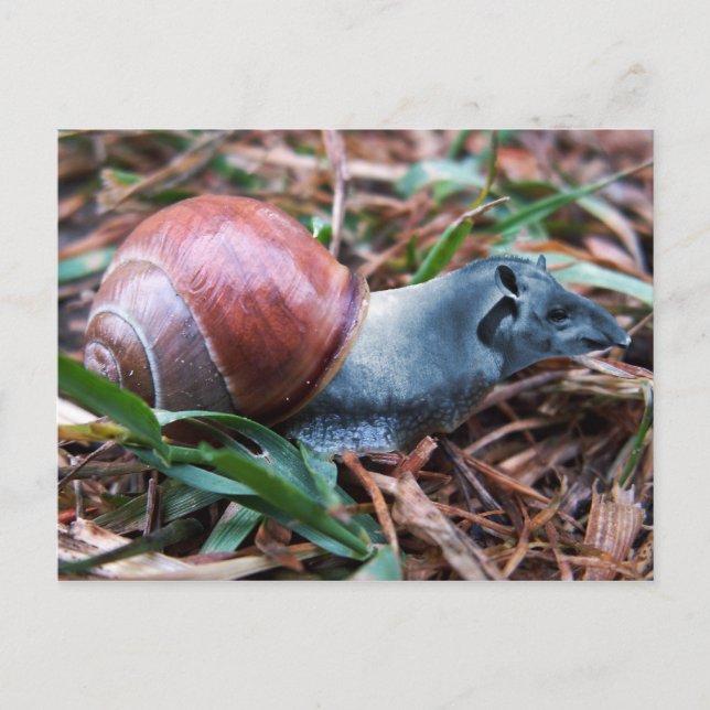 Tapisnail-Postkarte Postkarte (Vorderseite)