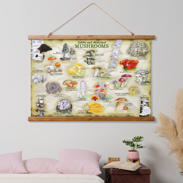 Tapisserie Pilze (genießbar und medizinisch) Wandteppich Mit Holzrahmen (Schlafzimmer)