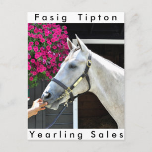 Tapit - Rote Angesagt Nr. 140 Postkarte