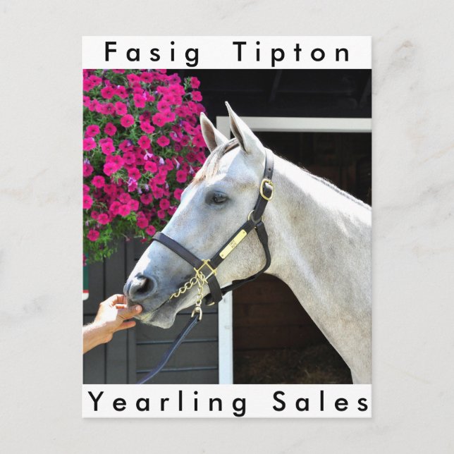 Tapit - Rote Angesagt Nr. 140 Postkarte (Vorderseite)