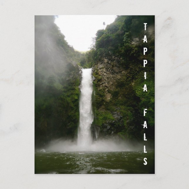 Tappia Falls Postkarte (Vorderseite)