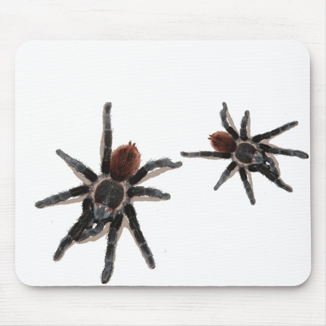 Taranchula Spinnen-Livehaustier Mousepad (Vorne)