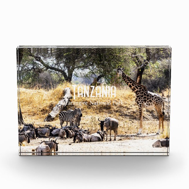 Tarangire National Park Fotoblock (Vorderseite)