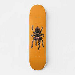 Tarantel orange skateboard