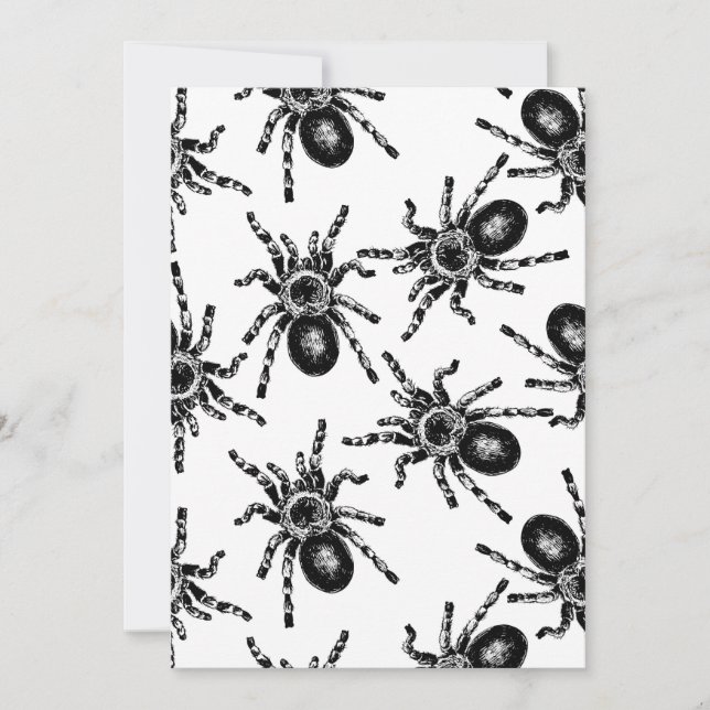 Tarantula (Vorderseite)