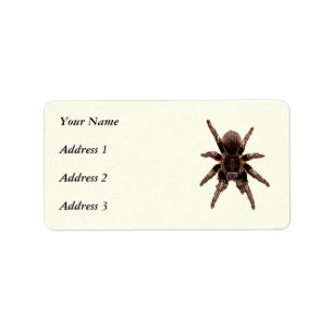 Tarantula Adressaufkleber