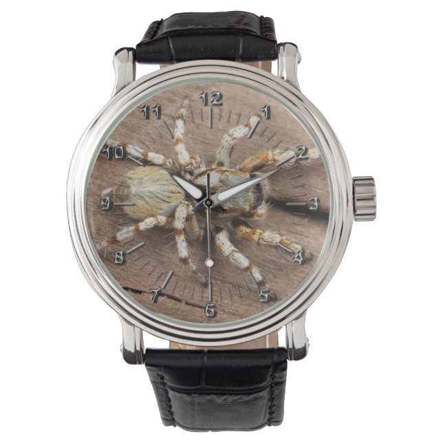 Tarantula Armbanduhr (Vorderseite)