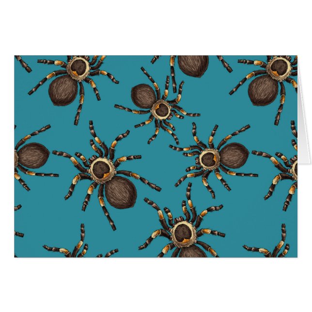 Tarantula auf blau (Vorderseite (Horizontal))