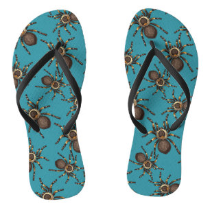Tarantula auf blau flip flops